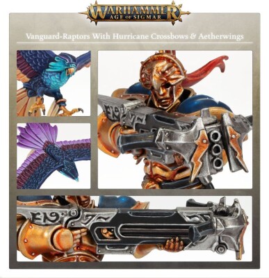 STORMCAST ETERNALS: VANGUARD-RAPTORS детальное изображение Вечные Громовержцы Порядок