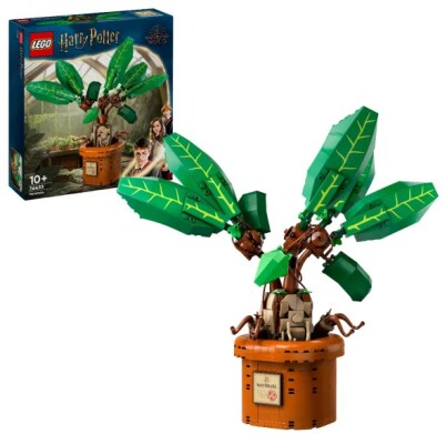 LEGO Harry Potter Mandrake 76433 детальное изображение Harry Potter Lego