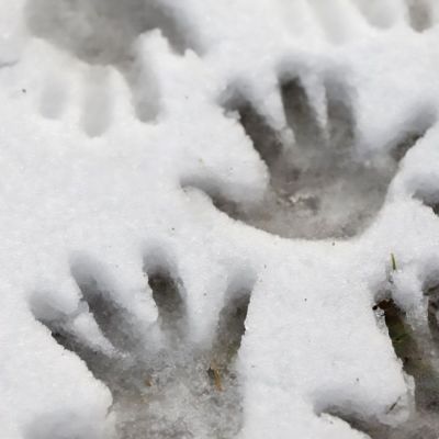 ICE SPARKLES - Паста для создания эффекта снега - Ледяные искры детальное изображение Материалы для создания Диорамы