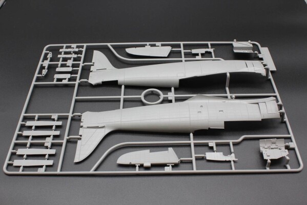 Збірна модель 1/32 Літак Hawker Sea Fury FB.11 DBMK Model Kits DBMK32002 детальное изображение Самолеты 1/32 Самолеты