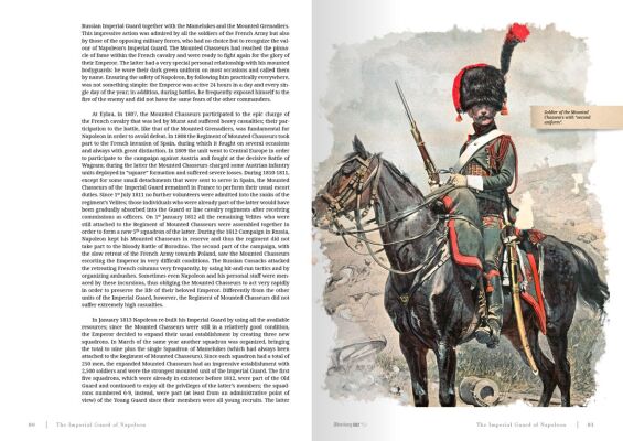 IMPERIAL GUARD OF NAPOLEON 1799-1815 детальное изображение Журналы Литература