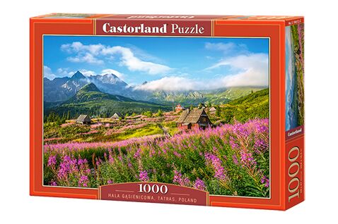 Puzzle HALA GASIENICOWA 1000 pieces детальное изображение 1000 элементов Пазлы