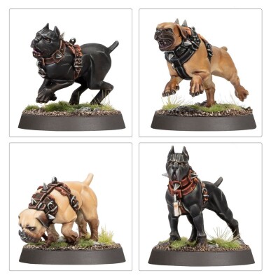 Игровой набор Warhammer AGE OF SIGMAR - CITIES OF SIGMAR - VEN DENST'S HOUNDS детальное изображение Города Зигмара Порядок