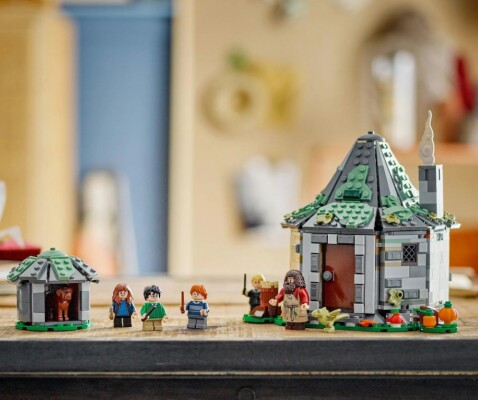 Конструктор LEGO HARRY POTTER Домик Хагрида: Неожиданные гости 76428 детальное изображение Harry Potter Lego