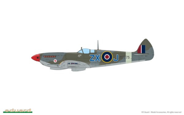 Scale model 1/48 Airplane Spitfire Mk.VIII Eduard 84154 детальное изображение Самолеты 1/48 Самолеты