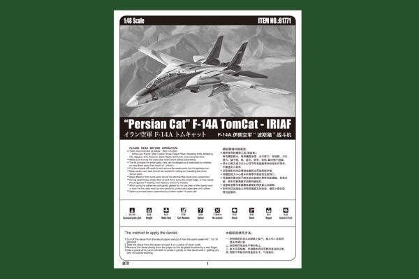 Buildable model aircraft “Persian Cat” F-14A TomCat - IRIAF детальное изображение Самолеты 1/48 Самолеты