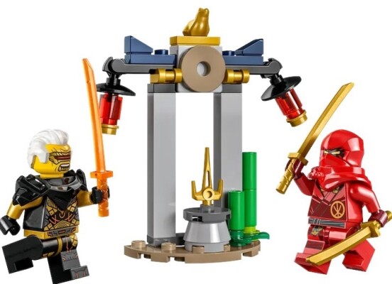 Constructor LEGO Ninjago Kai and Raptor Battle in the Temple 30650 детальное изображение NINJAGO Lego