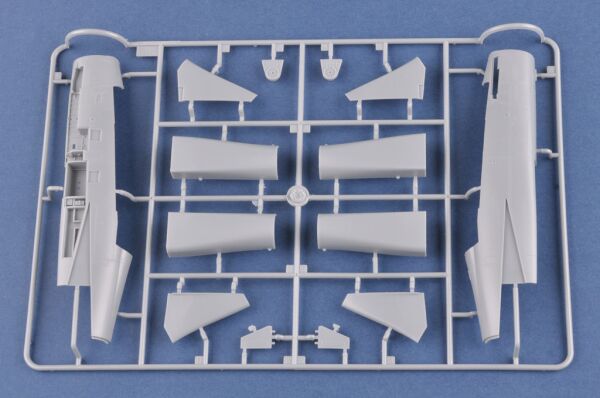 Buildable model aircraft “Persian Cat” F-14A TomCat - IRIAF детальное изображение Самолеты 1/48 Самолеты