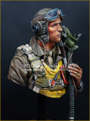 Погруддя. Пілот - винищувача ВПС США, 1944 р. детальное изображение Фигуры 1/10 Фигуры
