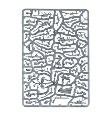 Ігровий набір Warhammer 40000 - AELDARI - CORSAIR VOIDREAVERS детальное изображение Эльдары Армии Ксеносов