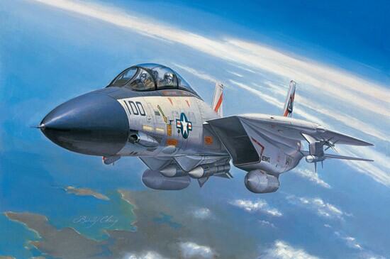 Сборная модель 1/72 Самолет Грумман Ф-14A Томкэт ХоббиБосс 80276 детальное изображение Самолеты 1/72 Самолеты