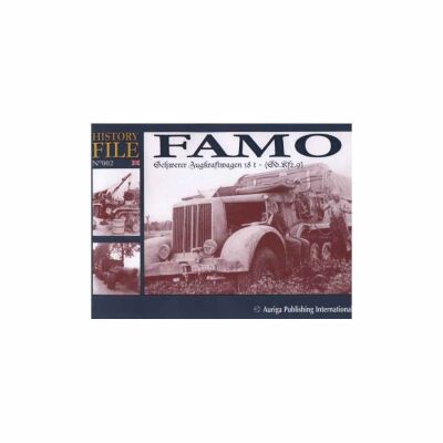 FAMO детальное изображение Обучающая литература Книги