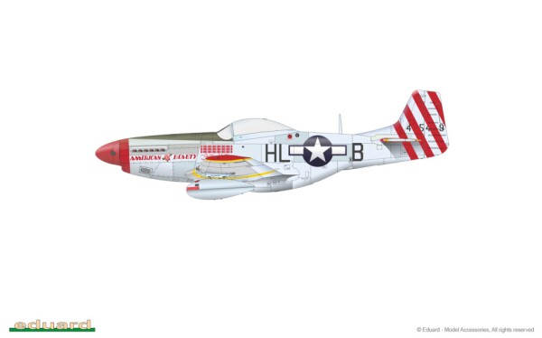 Scale model 1/48 Airplane P-51D Mustang Eduard 82102 детальное изображение Самолеты 1/48 Самолеты