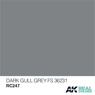 Dark Gull Grey FS 36231 / Темно-серый детальное изображение Real Colors Краски