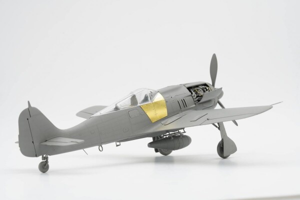 Збірна модель 1/35 Літак Focke-Wulf Fw-190 A-8 R2/6/7/8 (комплект 4 до 1) Border Model BF-009 детальное изображение Самолеты 1/35 Самолеты