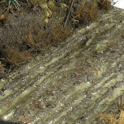 Terrains Wet Ground 250ml / Паста для создания влажной почвы или грязной естественной поверхности детальное изображение Материалы для создания Диорамы
