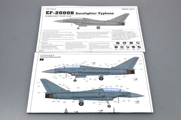 Scale model 1/32 EF-2000B Eurofighter Typhoon Trumpeter 02279 детальное изображение Самолеты 1/32 Самолеты