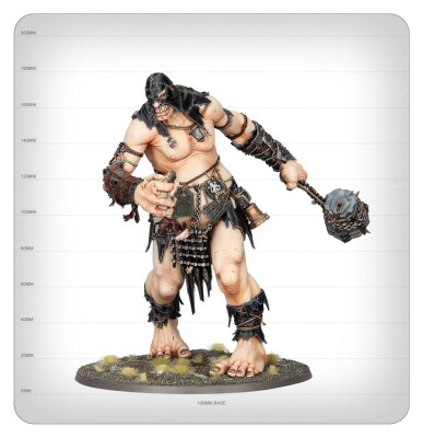 Ігровий набір Warhammer AGE OF SIGMAR - BRAWLERS OF BEHEMAT (ENG) детальное изображение Игровые наборы WARHAMMER Age of Sigmar