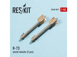 обзорное фото R-73 soviet missile (2 pcs) (1/48) Наборы деталировки