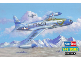 Buildable model of the American F-80C Shooting Star fighter