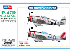 P-47D Thunderbolt Fighter