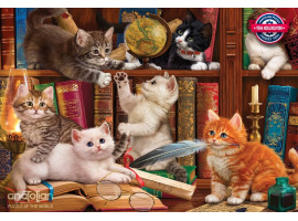 обзорное фото Puzzle Kittens in the Library - Kittens in the library 500pcs 500 items