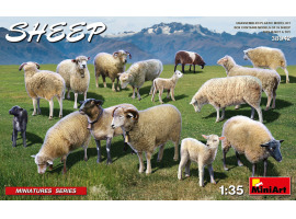 обзорное фото Scale model 1/35 Sheep on pasture MiniArt 38042 Figures 1/35