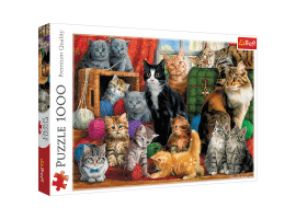 обзорное фото Puzzles Meeting kittens 1000 pcs 1000 items