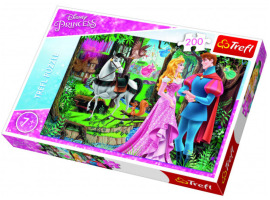 обзорное фото Puzzles Meeting in the forest: Disney 200 pcs 200 items