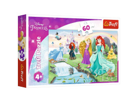 обзорное фото Puzzles Know the Princess 60pcs 60 items