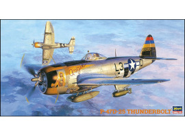 обзорное фото Republic P-47D-25 Thunderbolt 1:48 build model Aircraft 1/48