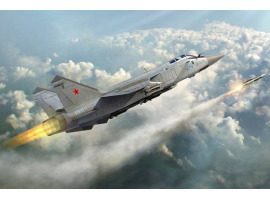 Buildable aircraft model MIG-31 FOXHOUND