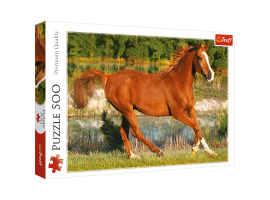 обзорное фото Puzzles running horse 500 pcs 500 items