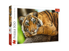 обзорное фото Puzzle Portrait of a tiger 500pcs 500 items