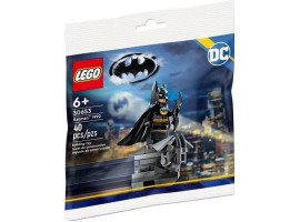 Конструктор LEGO Super Heroes DC Batman 1992 30653