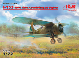 Chinese fighter I-153
