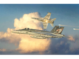 Scale model 1/48 Airplane F/A-18E Super Hornet Italeri 2791