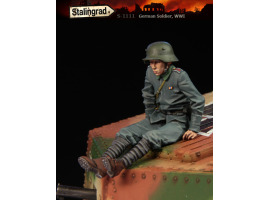 обзорное фото  Немецкий солдат, ПМВ  Figures 1/35