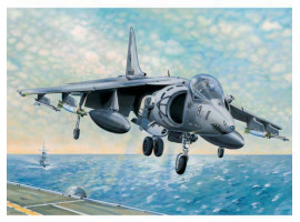 обзорное фото Scale model 1/32 AV-8B Harrier II Trumpeter 02229 Aircraft 1/32