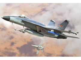 обзорное фото Scale model 1/48 Airplane F/A-18E Super Hornet VFC-12 HobbyBoss 85818 Aircraft 1/48