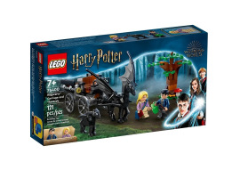 обзорное фото Конструктор LEGO Harry Potter Карета и фестралы Хогвартса Lego