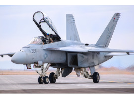 обзорное фото Збірна модель винищувача F/A-18F Super Hornet Літаки 1/48