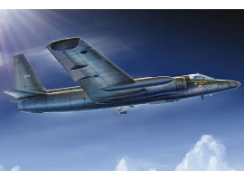 Збірна модель американського висотного літака-розвідника U-2C Dragon Lady