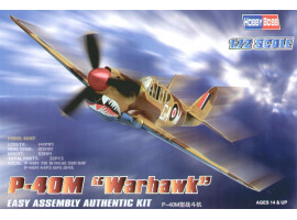 Збірна модель американського винищувача P-40M Warhawk