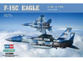 обзорное фото Buildable model of the American F-15C Eagle Fighter Aircraft 1/72
