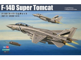 обзорное фото Buildable model of the American F-14D Super Tomcat Aircraft 1/72