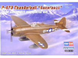 обзорное фото Buildable model of the P-47D Thunderbolt Razorback Aircraft 1/72