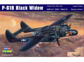 Buildable model of the American aircraft P-61B Black Widow