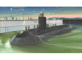 обзорное фото USS Virginia SSN-774 Submarine fleet