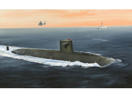 обзорное фото French Navy Le Triomphant SSBN Подводный флот